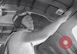 Image of US Army paratrooper training United States USA, 1943, second 58 stock footage video 65675038662