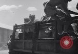 Image of rescued Allied prisoners Luzon Island Philippines, 1945, second 10 stock footage video 65675038668