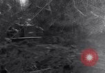 Standbild 187th Glider Infanterie Batangas Philippinen, 1945, aus Sekunde 1 historischem Filmmaterial Videoclip 65675038672
