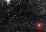 Standbild 187th Glider Infanterie Batangas Philippinen, 1945, aus Sekunde 4 historischem Filmmaterial Videoclip 65675038672