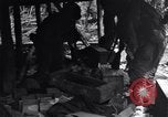 Standbild 187th Glider Infanterie Batangas Philippinen, 1945, aus Sekunde 17 historischem Filmmaterial Videoclip 65675038673
