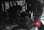 Standbild 187th Glider Infanterie Batangas Philippinen, 1945, aus Sekunde 18 historischem Filmmaterial Videoclip 65675038673