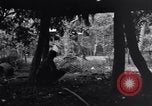Standbild 187th Glider Infanterie Batangas Philippinen, 1945, aus Sekunde 21 historischem Filmmaterial Videoclip 65675038673