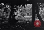 Standbild 187th Glider Infanterie Batangas Philippinen, 1945, aus Sekunde 22 historischem Filmmaterial Videoclip 65675038673