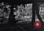 Standbild 187th Glider Infanterie Batangas Philippinen, 1945, aus Sekunde 23 historischem Filmmaterial Videoclip 65675038673