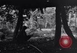 Standbild 187th Glider Infanterie Batangas Philippinen, 1945, aus Sekunde 24 historischem Filmmaterial Videoclip 65675038673