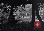 Standbild 187th Glider Infanterie Batangas Philippinen, 1945, aus Sekunde 25 historischem Filmmaterial Videoclip 65675038673