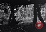 Standbild 187th Glider Infanterie Batangas Philippinen, 1945, aus Sekunde 27 historischem Filmmaterial Videoclip 65675038673