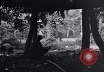 Standbild 187th Glider Infanterie Batangas Philippinen, 1945, aus Sekunde 28 historischem Filmmaterial Videoclip 65675038673