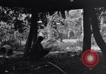 Standbild 187th Glider Infanterie Batangas Philippinen, 1945, aus Sekunde 29 historischem Filmmaterial Videoclip 65675038673
