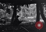 Standbild 187th Glider Infanterie Batangas Philippinen, 1945, aus Sekunde 30 historischem Filmmaterial Videoclip 65675038673