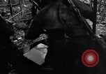 Standbild 187th Glider Infanterie Batangas Philippinen, 1945, aus Sekunde 46 historischem Filmmaterial Videoclip 65675038673