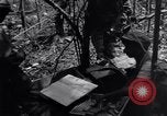 Standbild 187th Glider Infanterie Batangas Philippinen, 1945, aus Sekunde 48 historischem Filmmaterial Videoclip 65675038673
