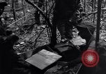Standbild 187th Glider Infanterie Batangas Philippinen, 1945, aus Sekunde 49 historischem Filmmaterial Videoclip 65675038673