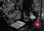 Standbild 187th Glider Infanterie Batangas Philippinen, 1945, aus Sekunde 50 historischem Filmmaterial Videoclip 65675038673