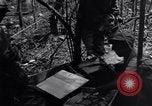 Standbild 187th Glider Infanterie Batangas Philippinen, 1945, aus Sekunde 51 historischem Filmmaterial Videoclip 65675038673