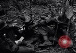 Standbild 187th Glider Infanterie Batangas Philippinen, 1945, aus Sekunde 52 historischem Filmmaterial Videoclip 65675038673