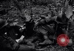 Standbild 187th Glider Infanterie Batangas Philippinen, 1945, aus Sekunde 55 historischem Filmmaterial Videoclip 65675038673