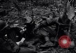 Standbild 187th Glider Infanterie Batangas Philippinen, 1945, aus Sekunde 56 historischem Filmmaterial Videoclip 65675038673
