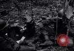 Standbild 187th Glider Infanterie Batangas Philippinen, 1945, aus Sekunde 57 historischem Filmmaterial Videoclip 65675038673