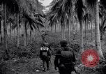 Standbild 187th Glider Infanterie Batangas Philippinen, 1945, aus Sekunde 15 historischem Filmmaterial Videoclip 65675038674
