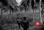 Standbild 187th Glider Infanterie Batangas Philippinen, 1945, aus Sekunde 16 historischem Filmmaterial Videoclip 65675038674