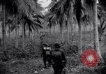 Standbild 187th Glider Infanterie Batangas Philippinen, 1945, aus Sekunde 17 historischem Filmmaterial Videoclip 65675038674