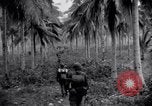 Standbild 187th Glider Infanterie Batangas Philippinen, 1945, aus Sekunde 18 historischem Filmmaterial Videoclip 65675038674