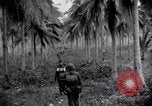 Standbild 187th Glider Infanterie Batangas Philippinen, 1945, aus Sekunde 19 historischem Filmmaterial Videoclip 65675038674