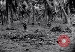 Standbild 187th Glider Infanterie Batangas Philippinen, 1945, aus Sekunde 21 historischem Filmmaterial Videoclip 65675038674