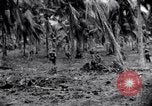 Standbild 187th Glider Infanterie Batangas Philippinen, 1945, aus Sekunde 26 historischem Filmmaterial Videoclip 65675038674