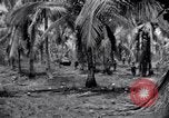 Standbild 187th Glider Infanterie Batangas Philippinen, 1945, aus Sekunde 27 historischem Filmmaterial Videoclip 65675038674