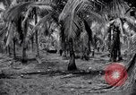 Standbild 187th Glider Infanterie Batangas Philippinen, 1945, aus Sekunde 28 historischem Filmmaterial Videoclip 65675038674