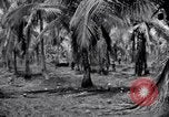 Standbild 187th Glider Infanterie Batangas Philippinen, 1945, aus Sekunde 29 historischem Filmmaterial Videoclip 65675038674
