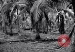 Standbild 187th Glider Infanterie Batangas Philippinen, 1945, aus Sekunde 30 historischem Filmmaterial Videoclip 65675038674