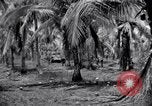 Standbild 187th Glider Infanterie Batangas Philippinen, 1945, aus Sekunde 31 historischem Filmmaterial Videoclip 65675038674