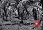 Standbild 187th Glider Infanterie Batangas Philippinen, 1945, aus Sekunde 32 historischem Filmmaterial Videoclip 65675038674