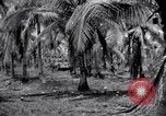 Standbild 187th Glider Infanterie Batangas Philippinen, 1945, aus Sekunde 33 historischem Filmmaterial Videoclip 65675038674