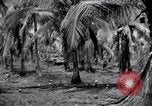 Standbild 187th Glider Infanterie Batangas Philippinen, 1945, aus Sekunde 34 historischem Filmmaterial Videoclip 65675038674