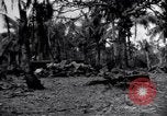 Standbild 187th Glider Infanterie Batangas Philippinen, 1945, aus Sekunde 49 historischem Filmmaterial Videoclip 65675038674
