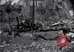 Standbild 187th Glider Infanterie Batangas Philippinen, 1945, aus Sekunde 50 historischem Filmmaterial Videoclip 65675038674