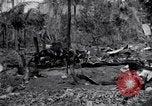 Standbild 187th Glider Infanterie Batangas Philippinen, 1945, aus Sekunde 52 historischem Filmmaterial Videoclip 65675038674