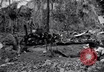 Standbild 187th Glider Infanterie Batangas Philippinen, 1945, aus Sekunde 53 historischem Filmmaterial Videoclip 65675038674