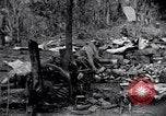 Standbild 187th Glider Infanterie Batangas Philippinen, 1945, aus Sekunde 56 historischem Filmmaterial Videoclip 65675038674