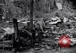 Standbild 187th Glider Infanterie Batangas Philippinen, 1945, aus Sekunde 57 historischem Filmmaterial Videoclip 65675038674