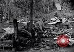 Standbild 187th Glider Infanterie Batangas Philippinen, 1945, aus Sekunde 58 historischem Filmmaterial Videoclip 65675038674