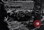Standbild 187th Glider Infanterie Batangas Philippinen, 1945, aus Sekunde 34 historischem Filmmaterial Videoclip 65675038675