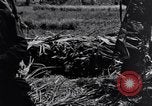 Standbild 187th Glider Infanterie Batangas Philippinen, 1945, aus Sekunde 36 historischem Filmmaterial Videoclip 65675038675