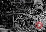 Standbild 187th Glider Infanterie Batangas Philippinen, 1945, aus Sekunde 57 historischem Filmmaterial Videoclip 65675038675