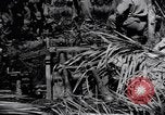 Standbild 187th Glider Infanterie Batangas Philippinen, 1945, aus Sekunde 58 historischem Filmmaterial Videoclip 65675038675
